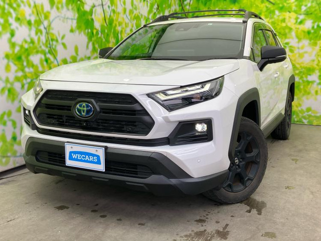 RAV4 2.5 ハイブリッド アドベンチャー オフロードパッケージ II E-Four 4WD （6AA-AXAH54）