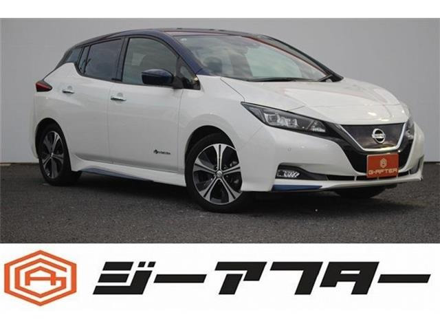 リーフX 10万台記念車純正ナビ(地図SD確認中)/地デジ/バックカメ