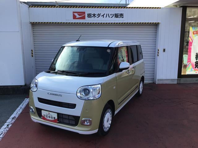 ムーヴキャンバス ストライプス G