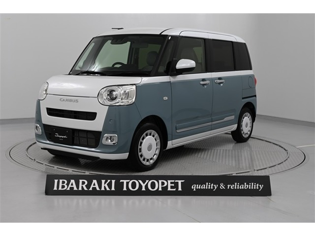 ムーヴキャンバス  ストライプス G