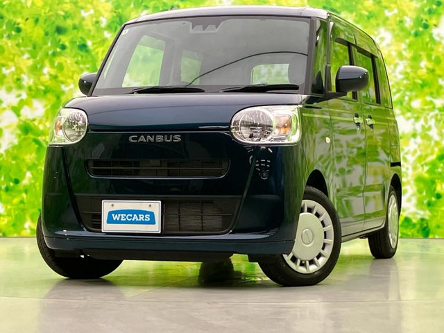 ムーヴキャンバスセオリー X