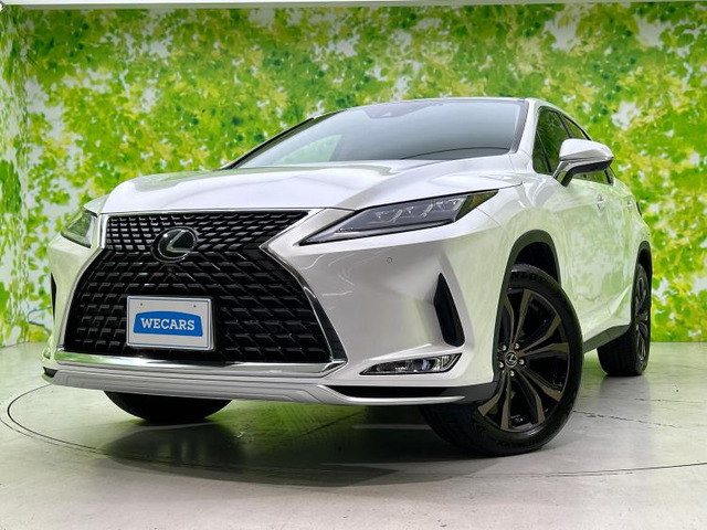 RX300 バージョンL