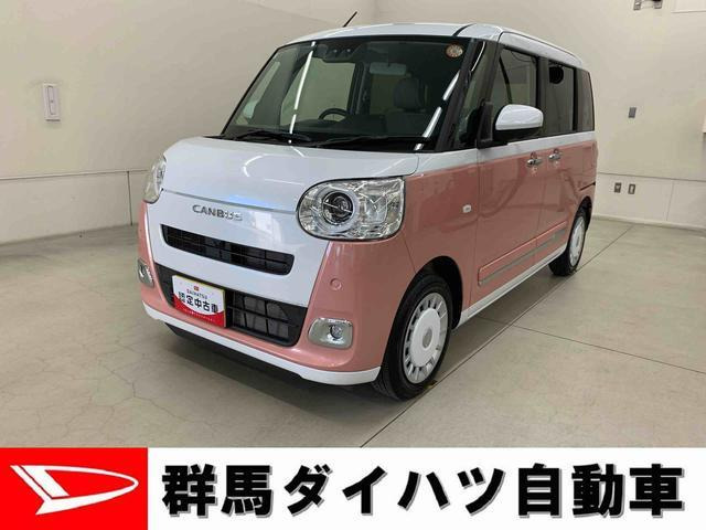 ムーヴキャンバス ストライプス G