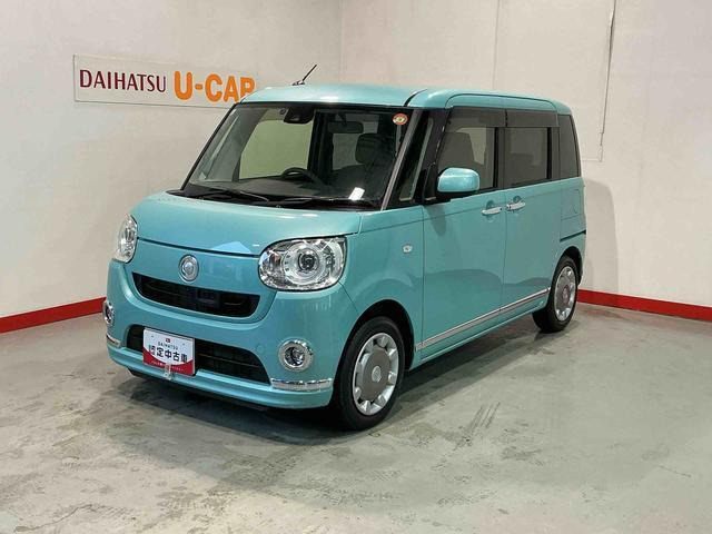 ムーヴキャンバスG SAII