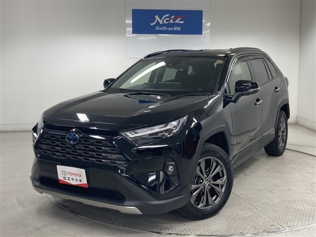 RAV4 2.5 ハイブリッド G E-Four 4WD （6AA-AXAH54）