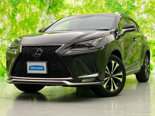 NX300h Fスポーツ