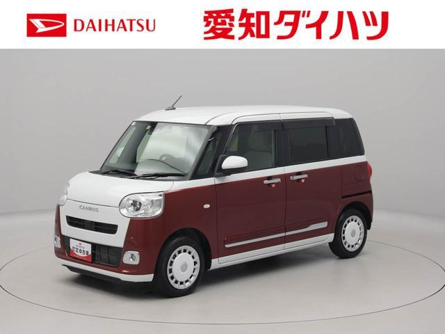 ムーヴキャンバス  ストライプス G