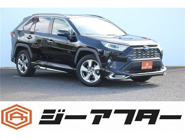 RAV4 2.5 ハイブリッド G E-Four 4WD サンルーフ/フルモデリスタ/カロッツェリア