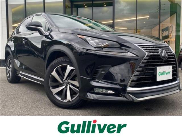 NX300 Iパッケージ本革シート サンルーフ