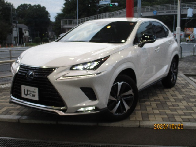 NX300h スパイス&シック