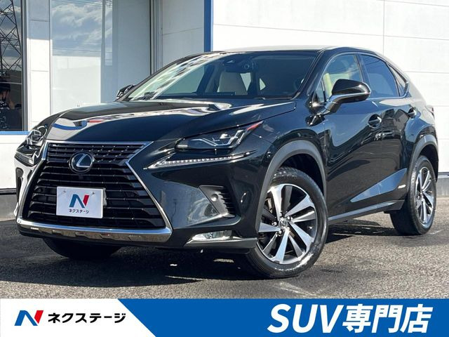 NX300h バージョンL