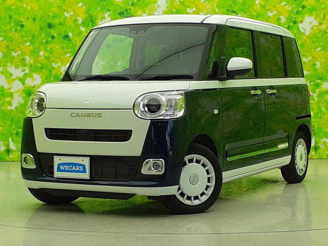 ムーヴキャンバスストライプス G