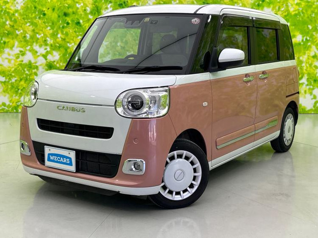 ムーヴキャンバス ストライプス G