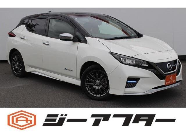 リーフe+ AUTECH純正9型ナビ/地デジ/全周囲カメラ/プロパイ