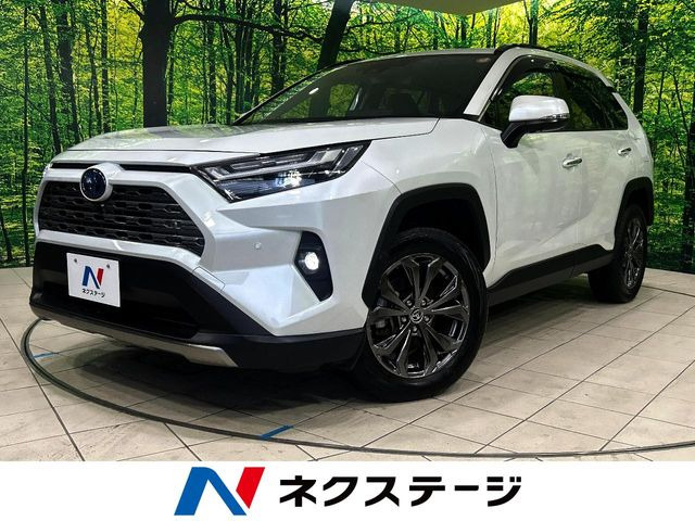 RAV4 2.5 ハイブリッド G E-Four 4WD （6AA-AXAH54）
