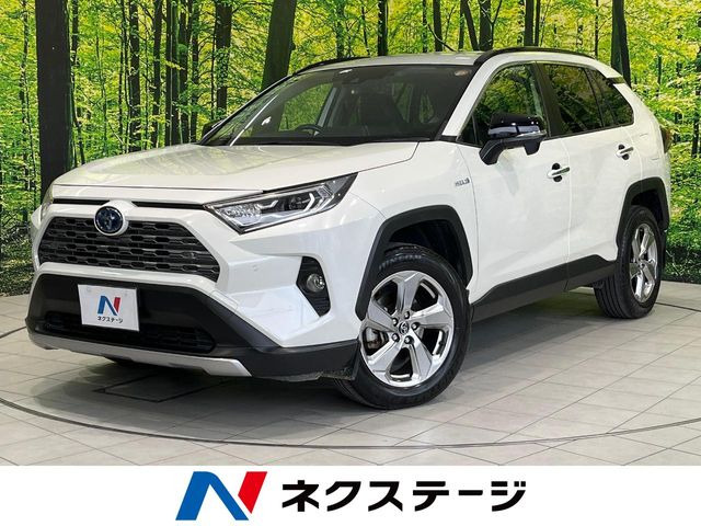 RAV4 2.5 ハイブリッド G E-Four 4WD （6AA-AXAH54）