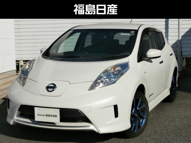 リーフ30kWh G エアロスタイル