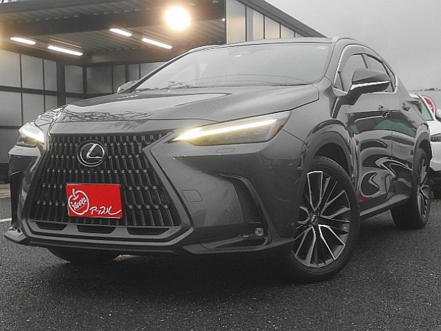 NX350h バージョンL