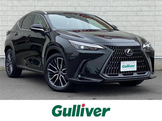 NX250 4WD4WD サンルーフ