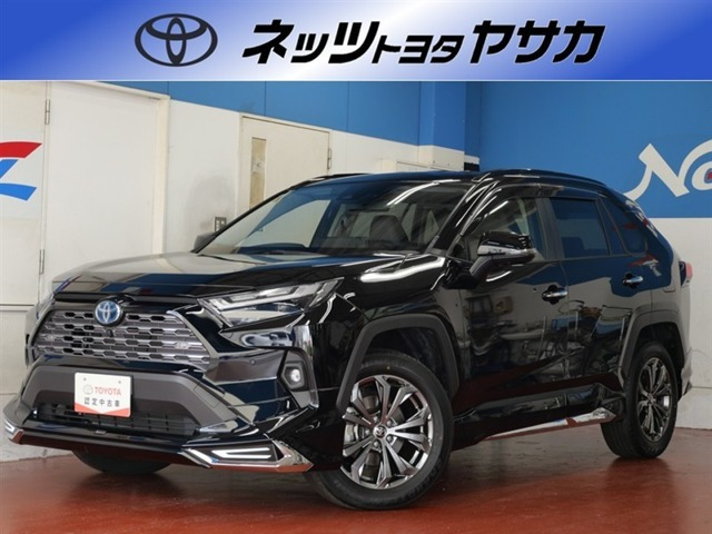 RAV4 2.5 ハイブリッド G E-Four 4WD （6AA-AXAH54）