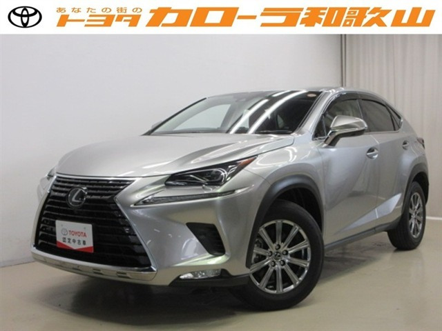 NX 300 Iパッケージ 