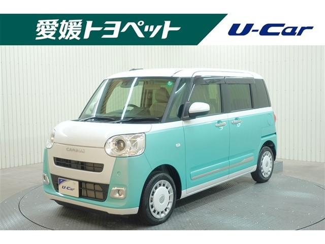 ムーヴキャンバス  ストライプス G