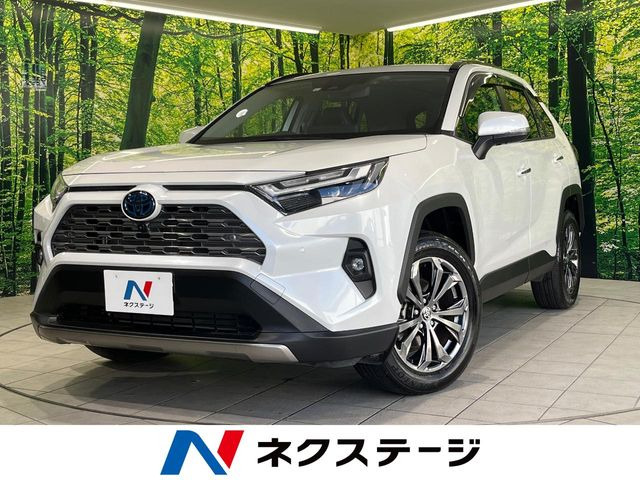 RAV4 2.5 ハイブリッド G E-Four 4WD （6AA-AXAH54）