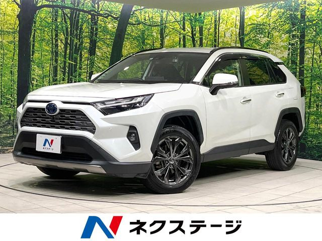 RAV4 2.5 ハイブリッド G E-Four 4WD （6AA-AXAH54）