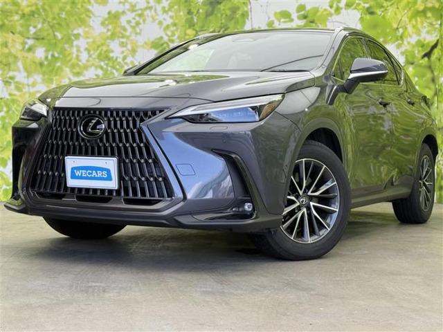 NX350h バージョンL