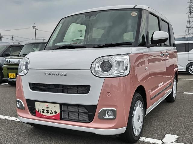 ムーヴキャンバス  ストライプス G