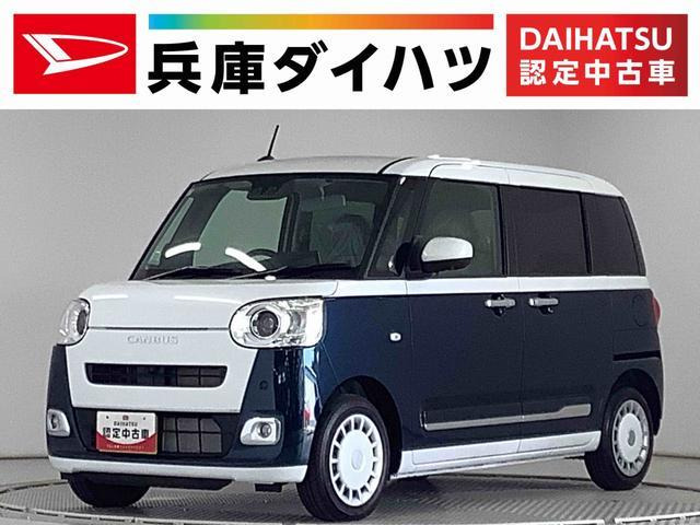 ムーヴキャンバス ストライプス G