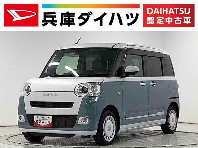 ムーヴキャンバスストライプス G