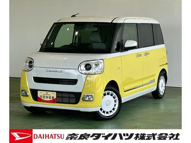 ムーヴキャンバス  ストライプス G