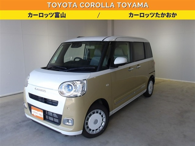 ムーヴキャンバス  ストライプス G