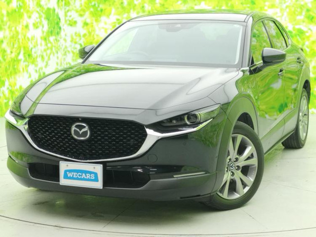 CX-302.0 20S プロアクティブ ツーリングセレクション 4WD