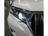 高輝度で点灯速度の速いLEDヘッドランプ& LEDクリアランスランプ(デイライト機能付)&LEDフォグランプがついています。