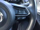 レーダークルーズコントロールを装備。アクセルやブレーキを操作しなくても、自動で先行車との車間距離を保ち追従走行できます。長距離や高速道路を運転する際に、ドライバーへの負担を軽減します。