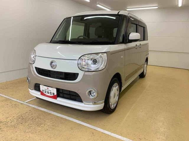 ムーヴキャンバス G メイクアップ SAII 