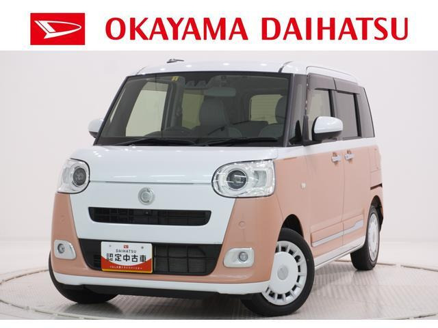 ムーヴキャンバス ストライプス G