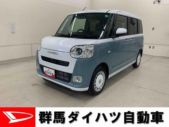 ムーヴキャンバス ストライプス G