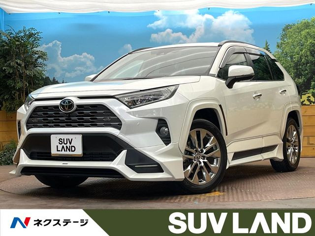 RAV4 2.0 G Zパッケージ 4WD （6BA-MXAA54）