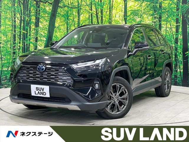 RAV4 2.5 ハイブリッド G E-Four 4WD （6AA-AXAH54）