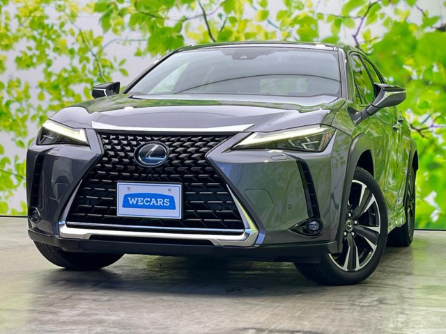 UX250h バージョンC