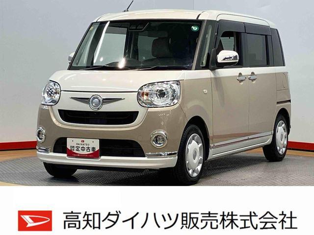 ムーヴキャンバス G メイクアップ リミテッド SAIII