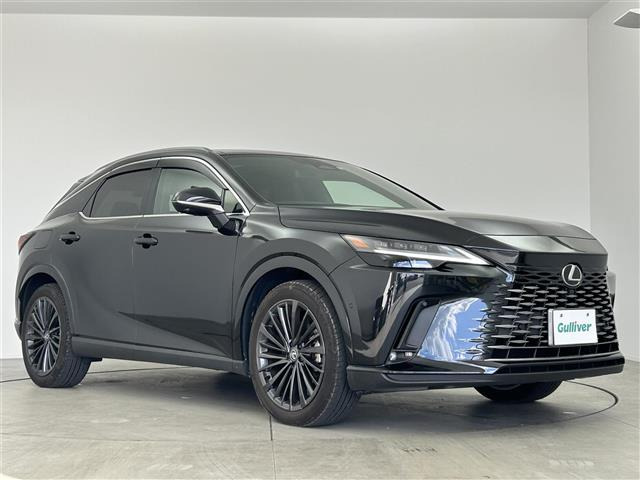 RX450h プラス バージョンL 4WD本革シート