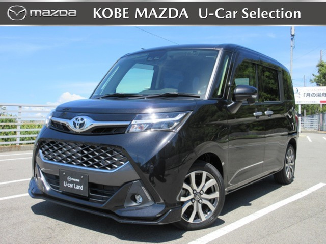 タンク 1.0 カスタム G-T