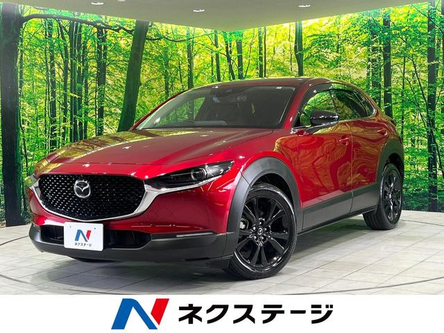 CX-302.0 20S ブラックトーンエディション