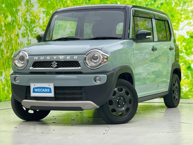 ハスラータフワイルド