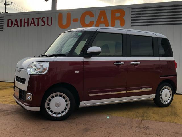 ムーヴキャンバス  ストライプス G