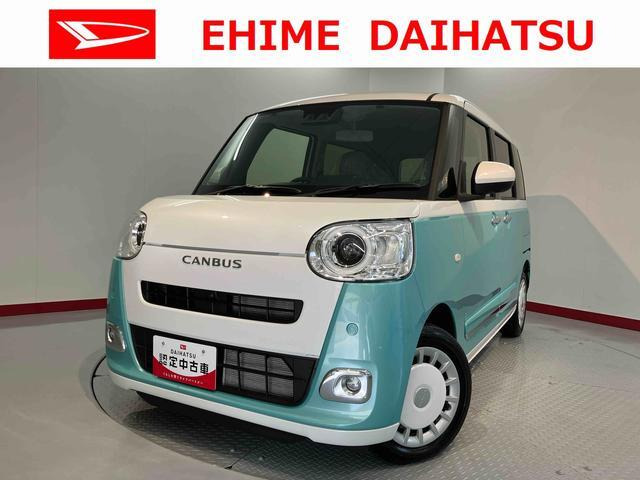 ムーヴキャンバス  ストライプス G